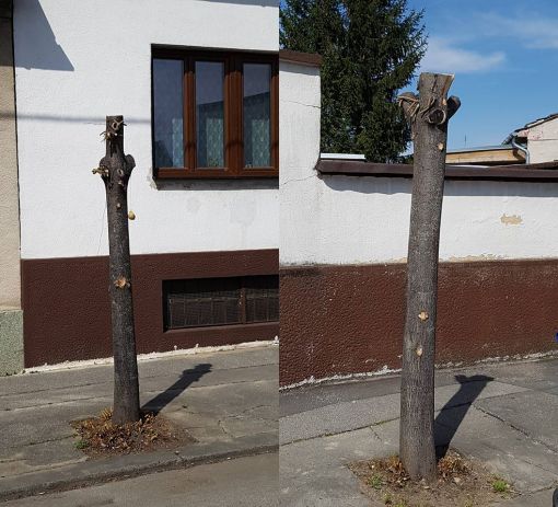 Obrázok č. 2